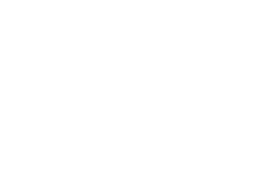 D&O